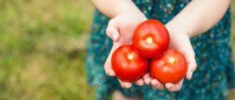 Tomatoes and a healthy diet